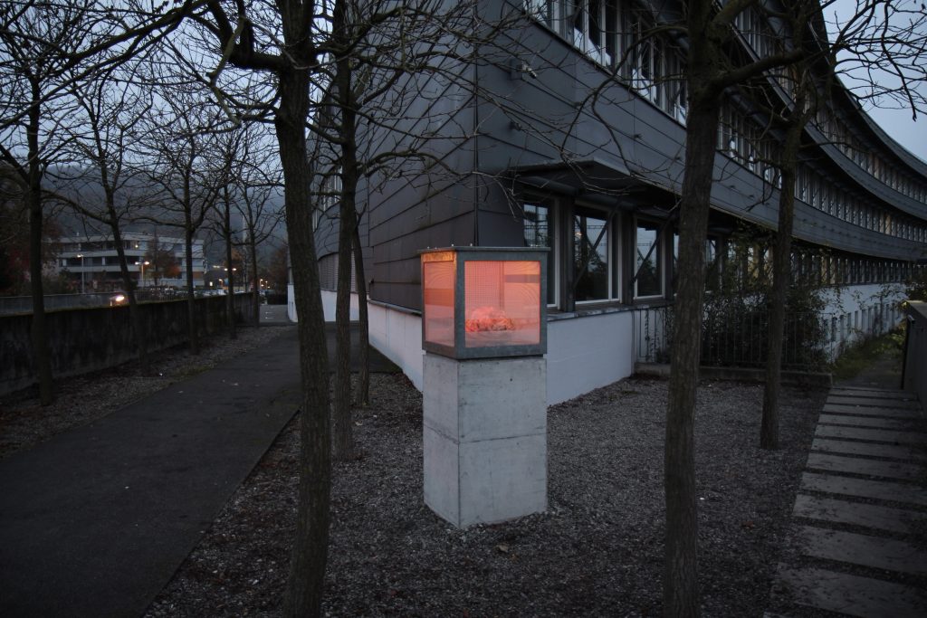 Brutkasten
