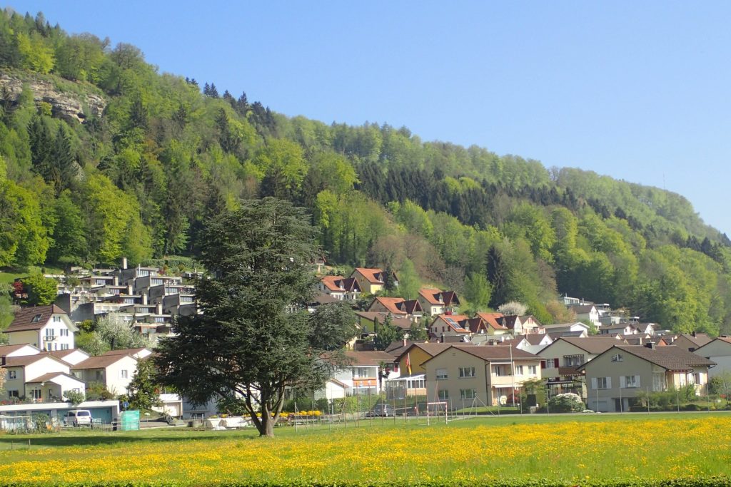Natur- und Landschaftsentwicklungskonzept NLEK Raum Brugg-Windisch