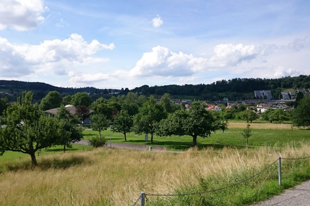 Natur- und Landschaftsentwicklungskonzept NLEK Raum Brugg-Windisch