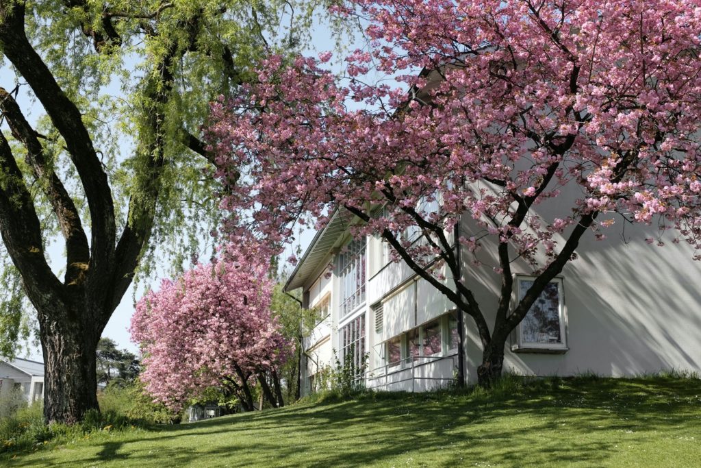 Sanierung Aussenraum Volksschule Steigerhubel Bern