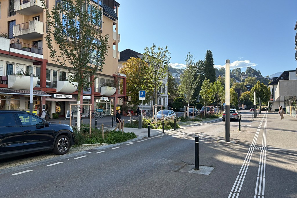 Sanierung Mittelzone, Horw