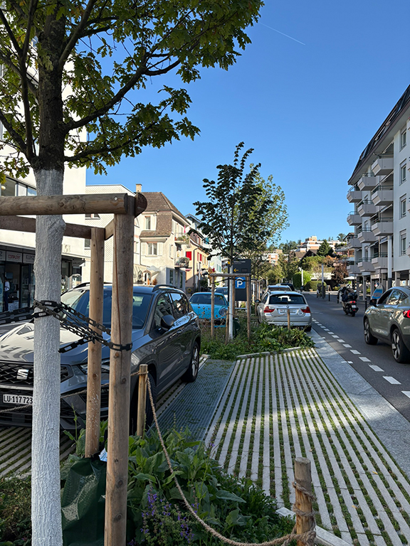 Sanierung Mittelzone, Horw