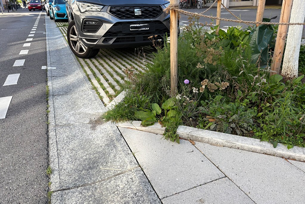 Sanierung Mittelzone, Horw