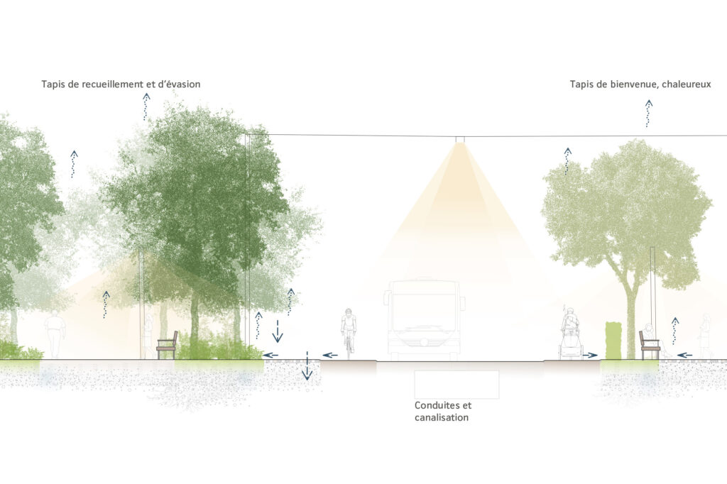 Requalification de l’Avenue d’Echallens, Lausanne