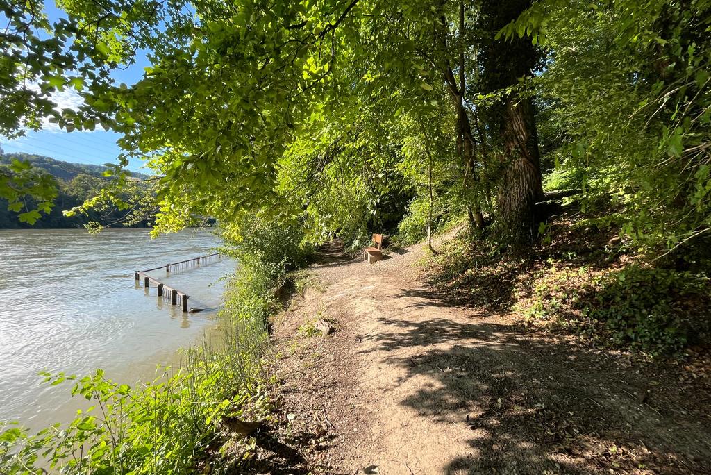 Machbarkeitsstudie Flussbad Würenlingen