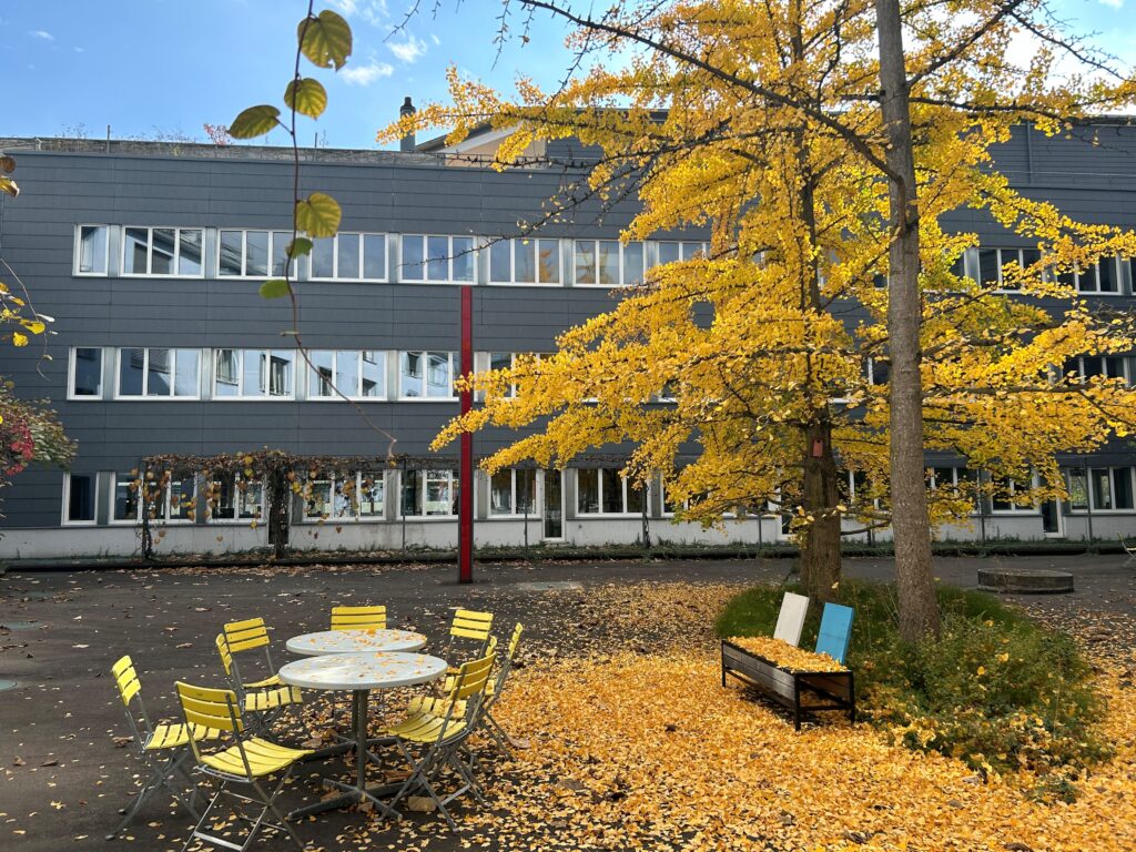 Metron Haus, Innenhof im goldenen Herbst