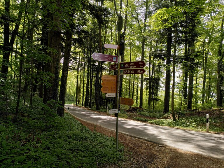 Wegweiser für Veloroute im Wald