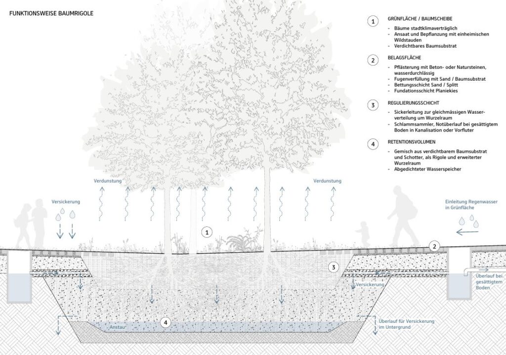 Grafik einer Baumgrube_Schwammstadt_Köniz