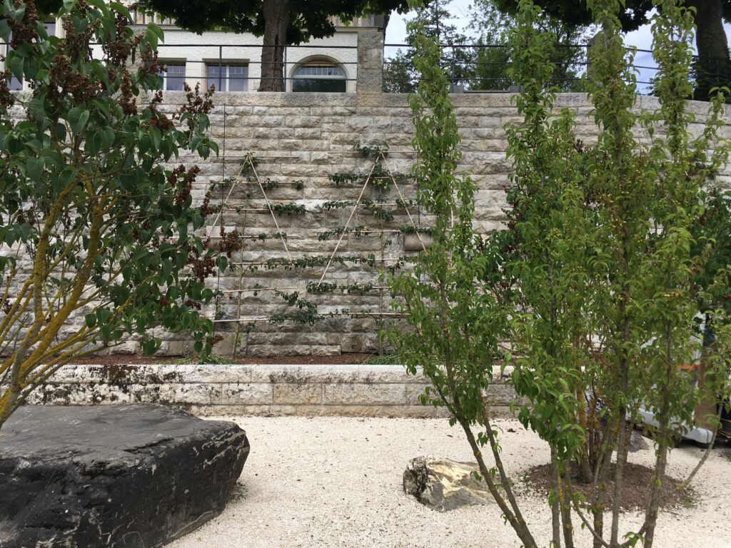 Baden-Freiraum, Beispiel2
