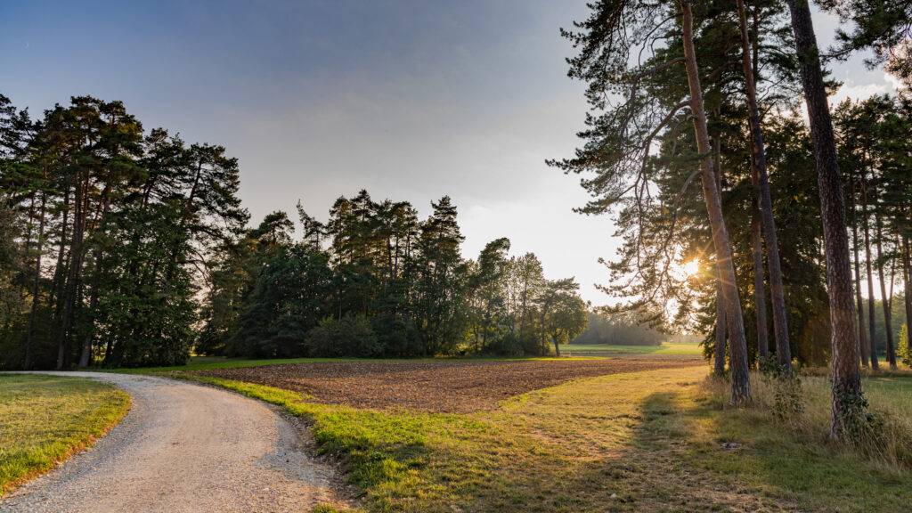 Randen: mosaïque paysagère typique du canton de Schaffhouse. Photo: Stephan Troesch