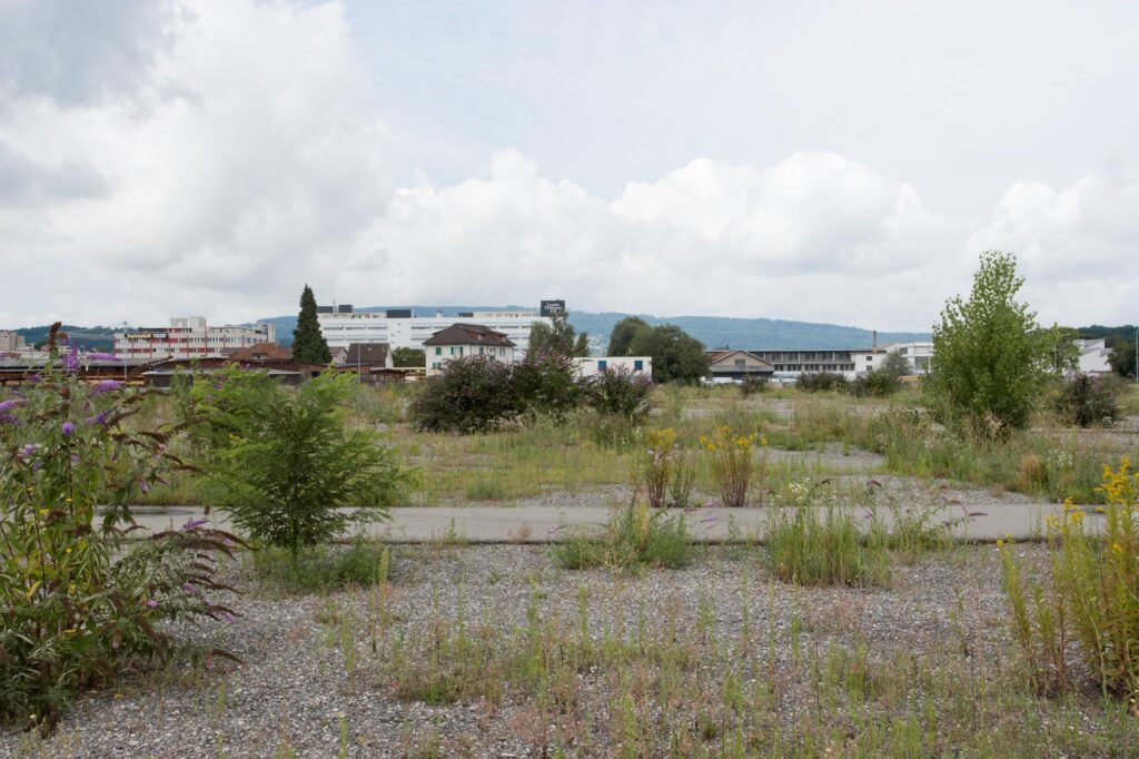 Stadtentwicklungskonzept Schlieren