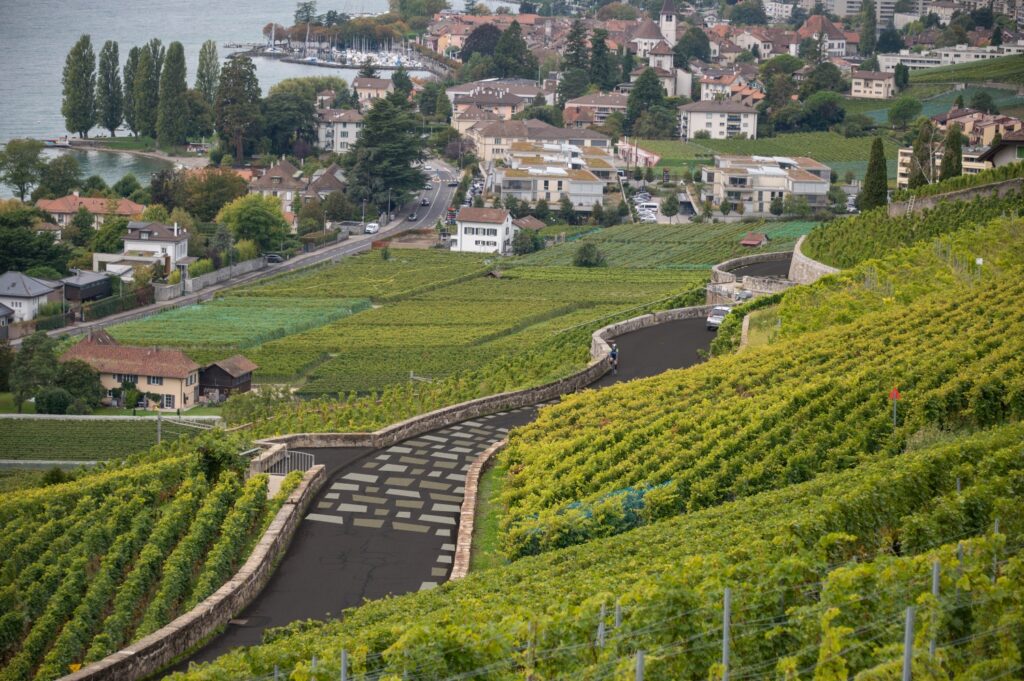 Route cantonale de la Petite Corniche, Lavaux