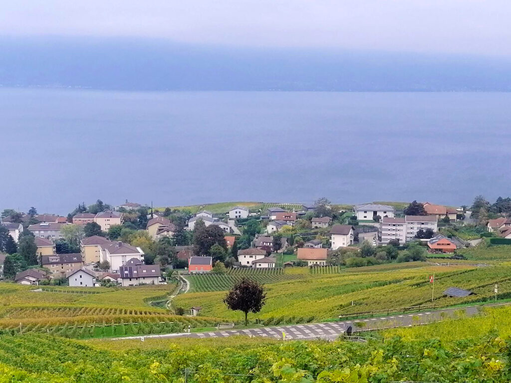 Route cantonale de la Petite Corniche, Lavaux