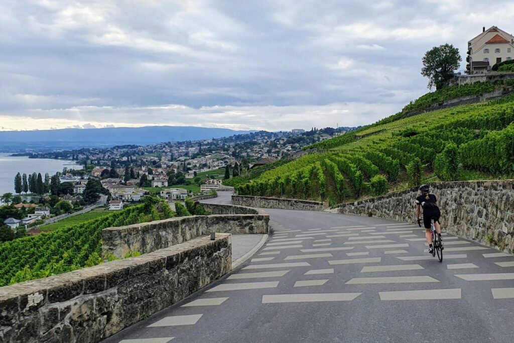 Route cantonale de la Petite Corniche, Lavaux